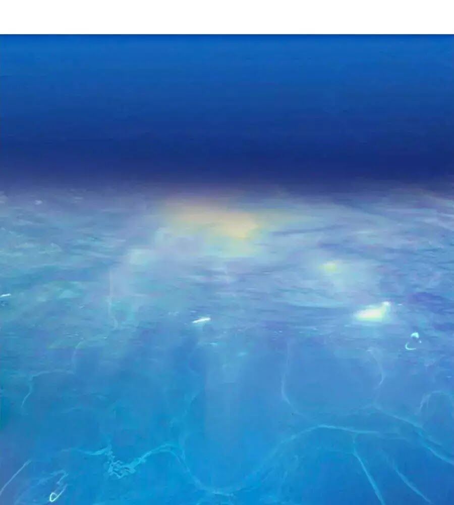 đọc truyện Phượng Hoàng Thác: Chuyên Sủng Khí Thê Chương 24 ảnh 3 tại Thiên Thai Truyện