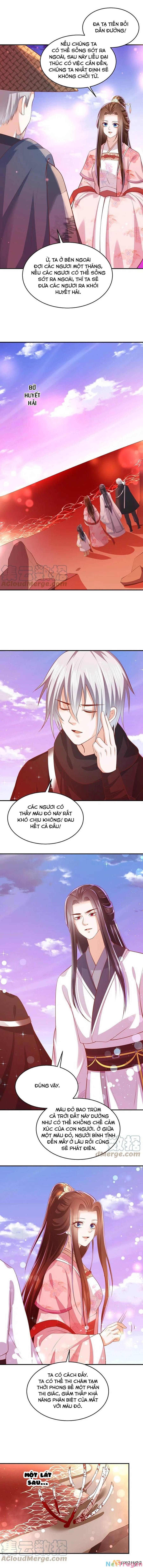 đọc truyện Phượng Hoàng Thác: Chuyên Sủng Khí Thê Chương 241 ảnh 5 tại Thiên Thai Truyện