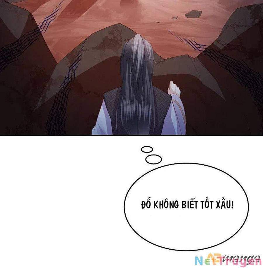 đọc truyện Phượng Hoàng Thác: Chuyên Sủng Khí Thê Chương 243 ảnh 11 tại Thiên Thai Truyện