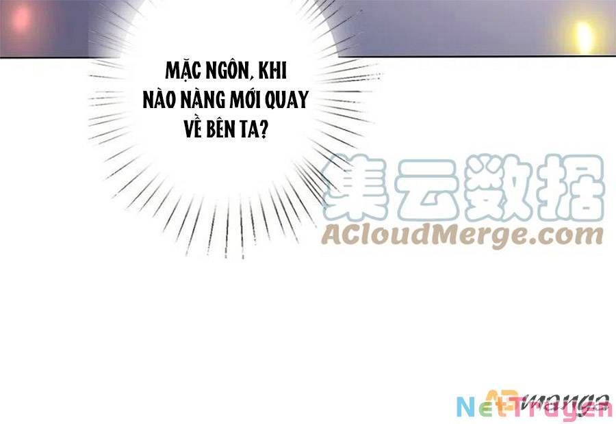 đọc truyện Phượng Hoàng Thác: Chuyên Sủng Khí Thê Chương 244 ảnh 12 tại Thiên Thai Truyện