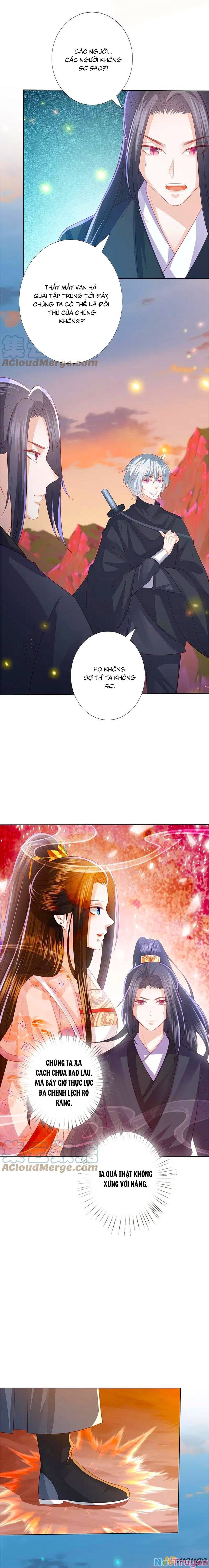 đọc truyện Phượng Hoàng Thác: Chuyên Sủng Khí Thê Chương 244 ảnh 4 tại Thiên Thai Truyện