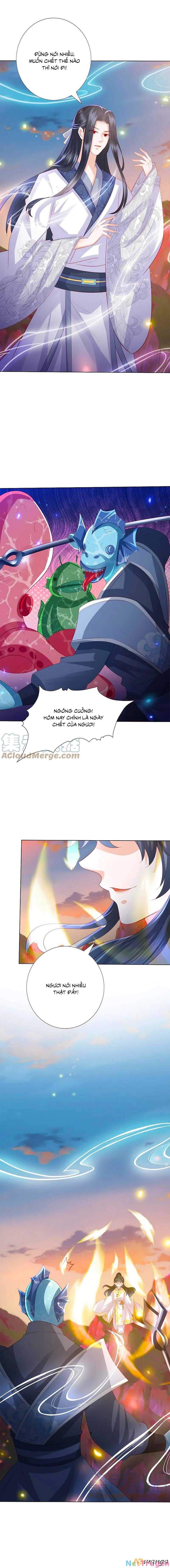 đọc truyện Phượng Hoàng Thác: Chuyên Sủng Khí Thê Chương 244 ảnh 6 tại Thiên Thai Truyện