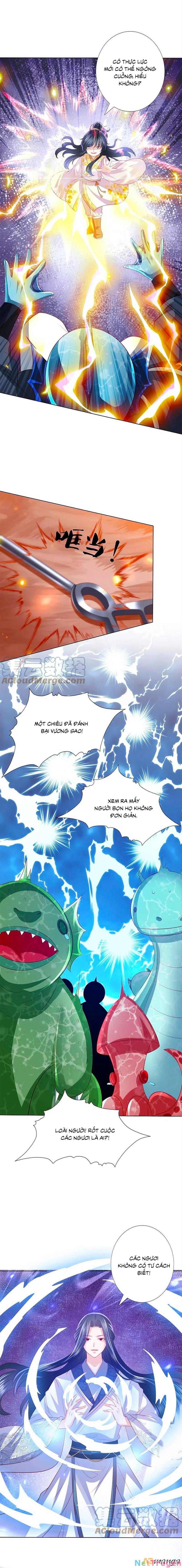 đọc truyện Phượng Hoàng Thác: Chuyên Sủng Khí Thê Chương 244 ảnh 7 tại Thiên Thai Truyện