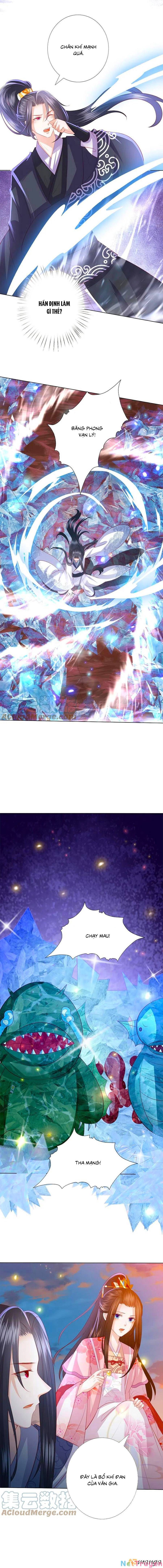 đọc truyện Phượng Hoàng Thác: Chuyên Sủng Khí Thê Chương 244 ảnh 8 tại Thiên Thai Truyện