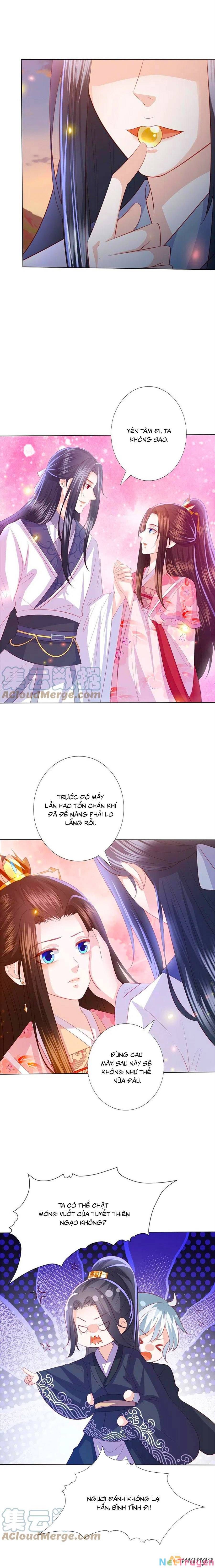 đọc truyện Phượng Hoàng Thác: Chuyên Sủng Khí Thê Chương 244 ảnh 9 tại Thiên Thai Truyện