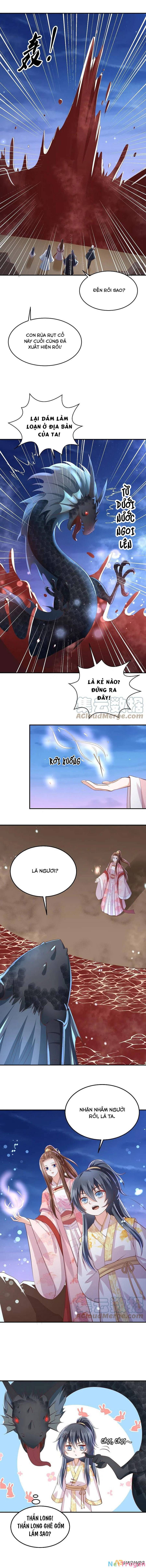 đọc truyện Phượng Hoàng Thác: Chuyên Sủng Khí Thê Chương 245 ảnh 5 tại Thiên Thai Truyện