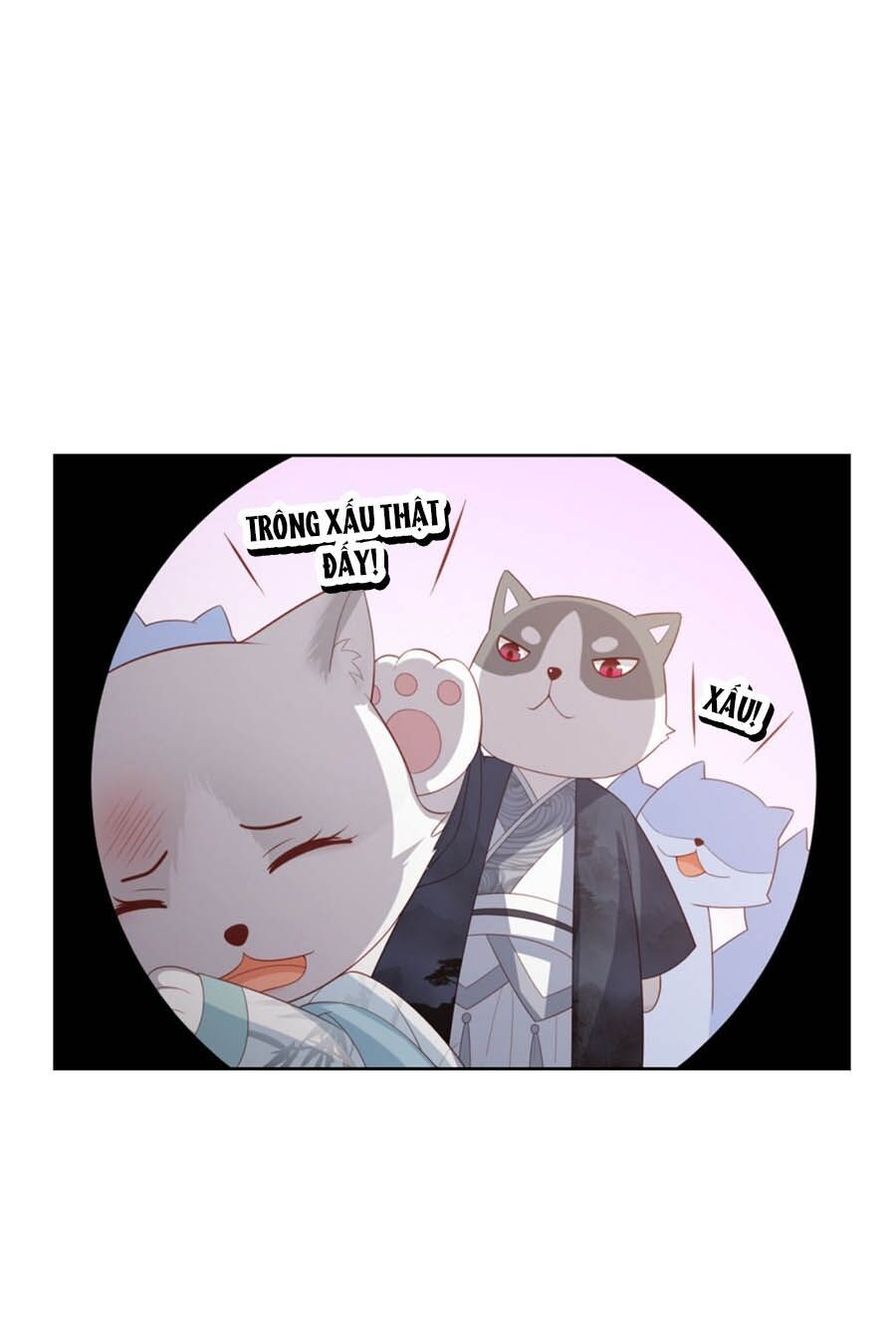 đọc truyện Phượng Hoàng Thác: Chuyên Sủng Khí Thê Chương 27.5 ảnh 16 tại Thiên Thai Truyện