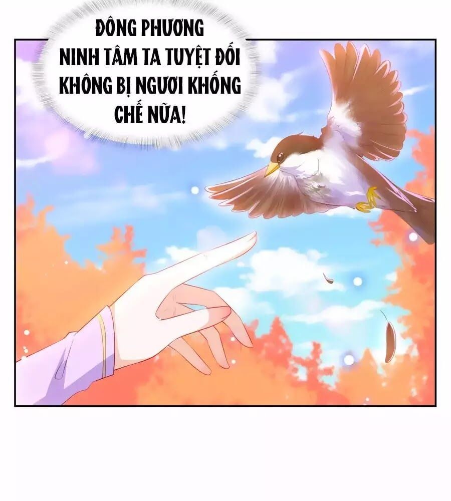 đọc truyện Phượng Hoàng Thác: Chuyên Sủng Khí Thê Chương 35 ảnh 51 tại Thiên Thai Truyện