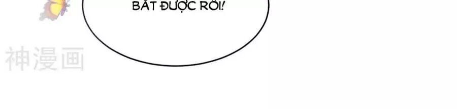 đọc truyện Phượng Hoàng Thác: Chuyên Sủng Khí Thê Chương 42 ảnh 11 tại Thiên Thai Truyện