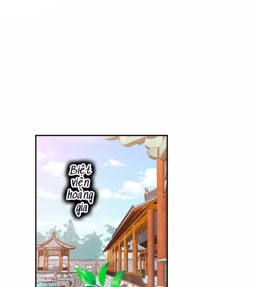 đọc truyện Phượng Hoàng Thác: Chuyên Sủng Khí Thê Chương 45 ảnh 13 tại Thiên Thai Truyện