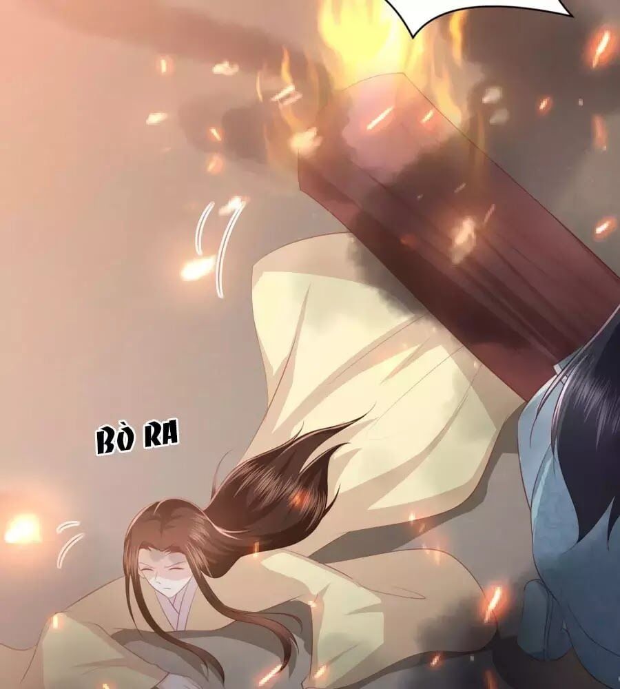 đọc truyện Phượng Hoàng Thác: Chuyên Sủng Khí Thê Chương 49 ảnh 13 tại Thiên Thai Truyện