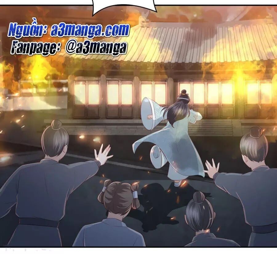 đọc truyện Phượng Hoàng Thác: Chuyên Sủng Khí Thê Chương 49 ảnh 5 tại Thiên Thai Truyện