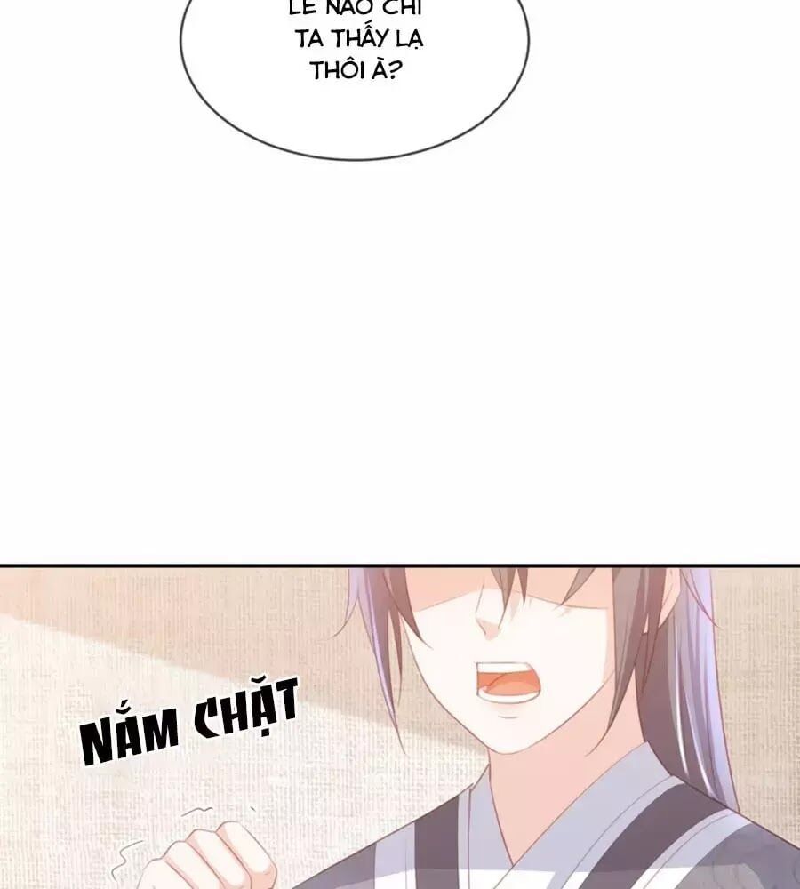 đọc truyện Phượng Hoàng Thác: Chuyên Sủng Khí Thê Chương 50 ảnh 24 tại Thiên Thai Truyện