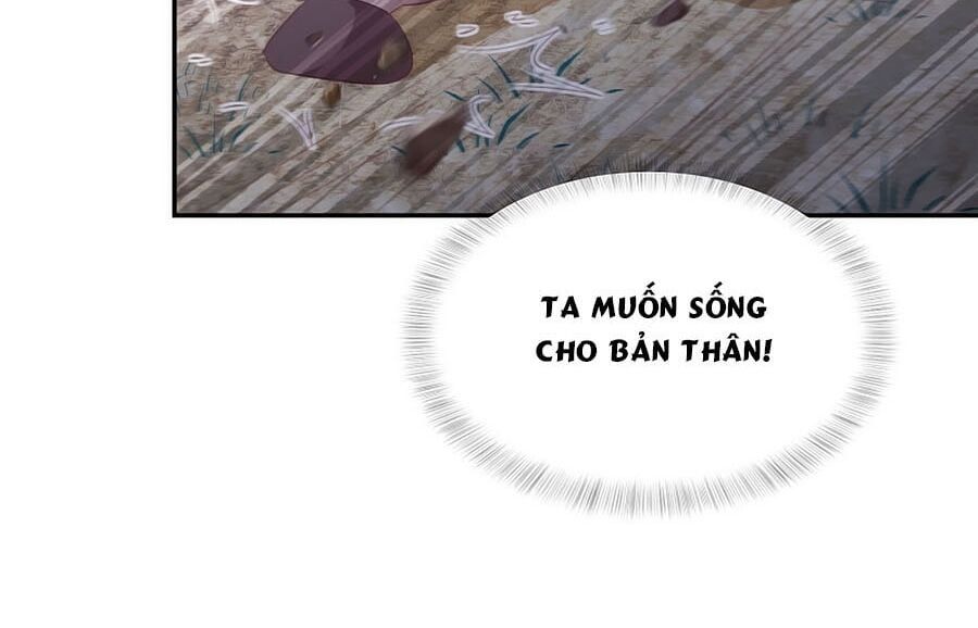 đọc truyện Phượng Hoàng Thác: Chuyên Sủng Khí Thê Chương 64 ảnh 14 tại Thiên Thai Truyện