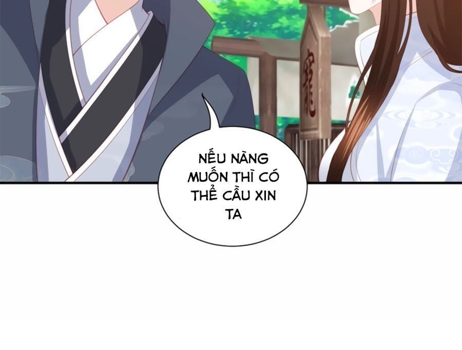 đọc truyện Phượng Hoàng Thác: Chuyên Sủng Khí Thê Chương 74 ảnh 12 tại Thiên Thai Truyện