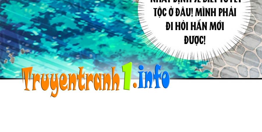 đọc truyện Phượng Hoàng Thác: Chuyên Sủng Khí Thê Chương 92 ảnh 7 tại Thiên Thai Truyện