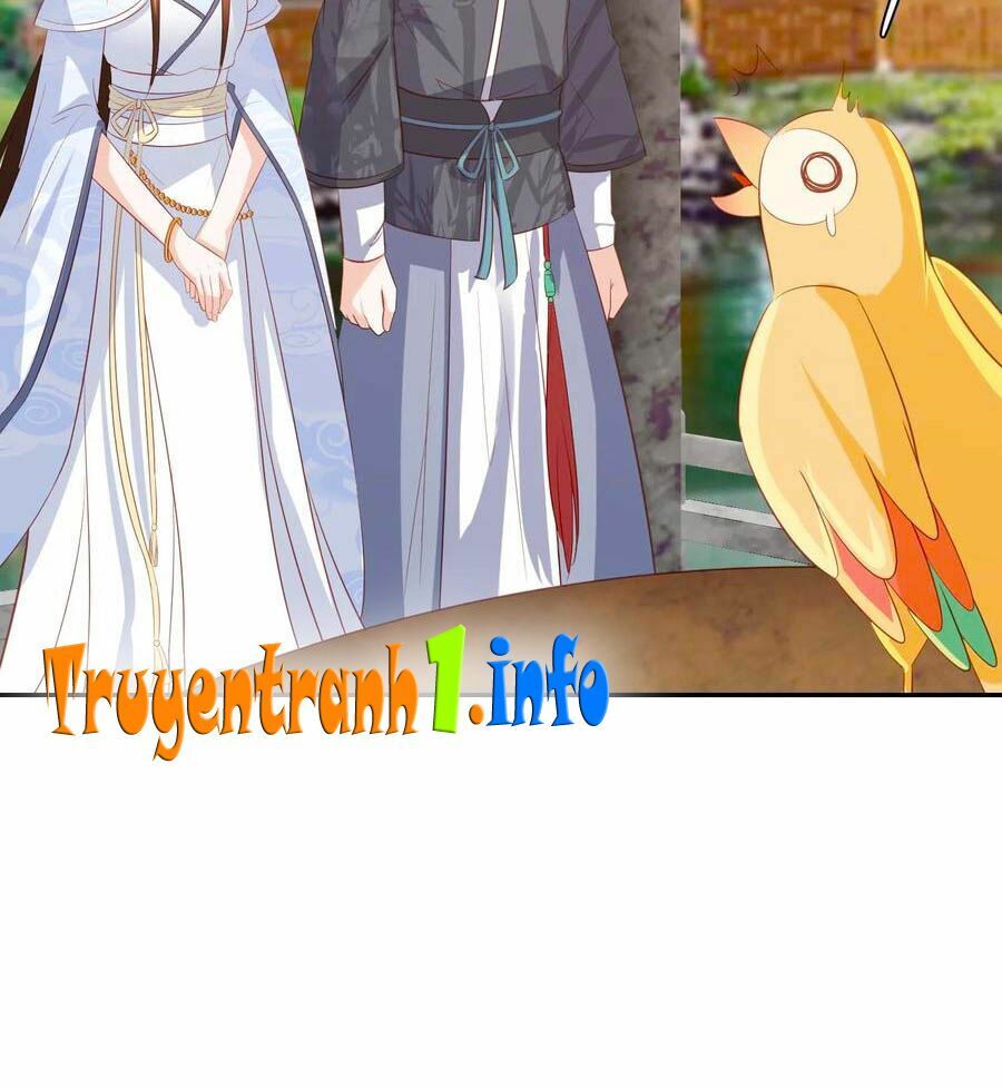 đọc truyện Phượng Hoàng Thác: Chuyên Sủng Khí Thê Chương 94 ảnh 18 tại Thiên Thai Truyện