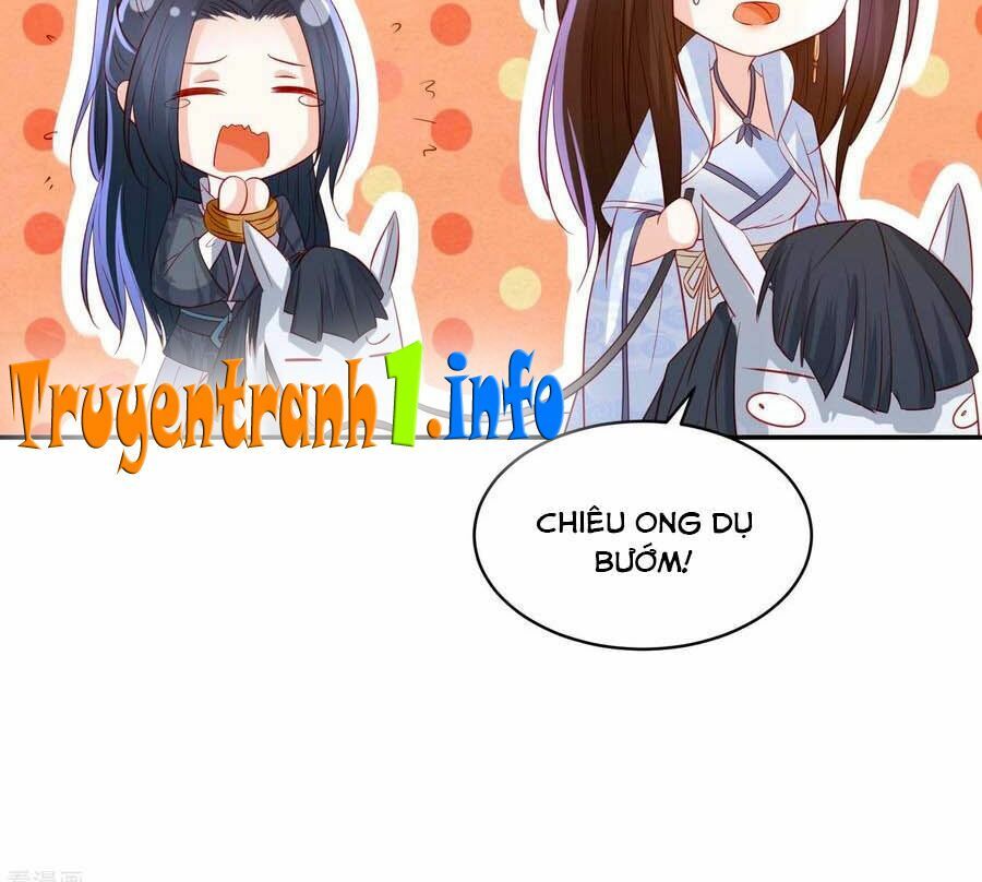đọc truyện Phượng Hoàng Thác: Chuyên Sủng Khí Thê Chương 94 ảnh 5 tại Thiên Thai Truyện