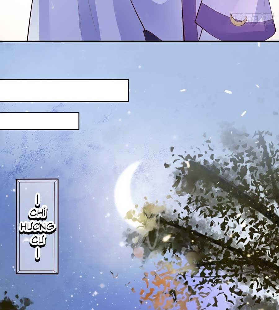 đọc truyện Phượng Ngự Tà Vương Chương 22 ảnh 36 tại Thiên Thai Truyện