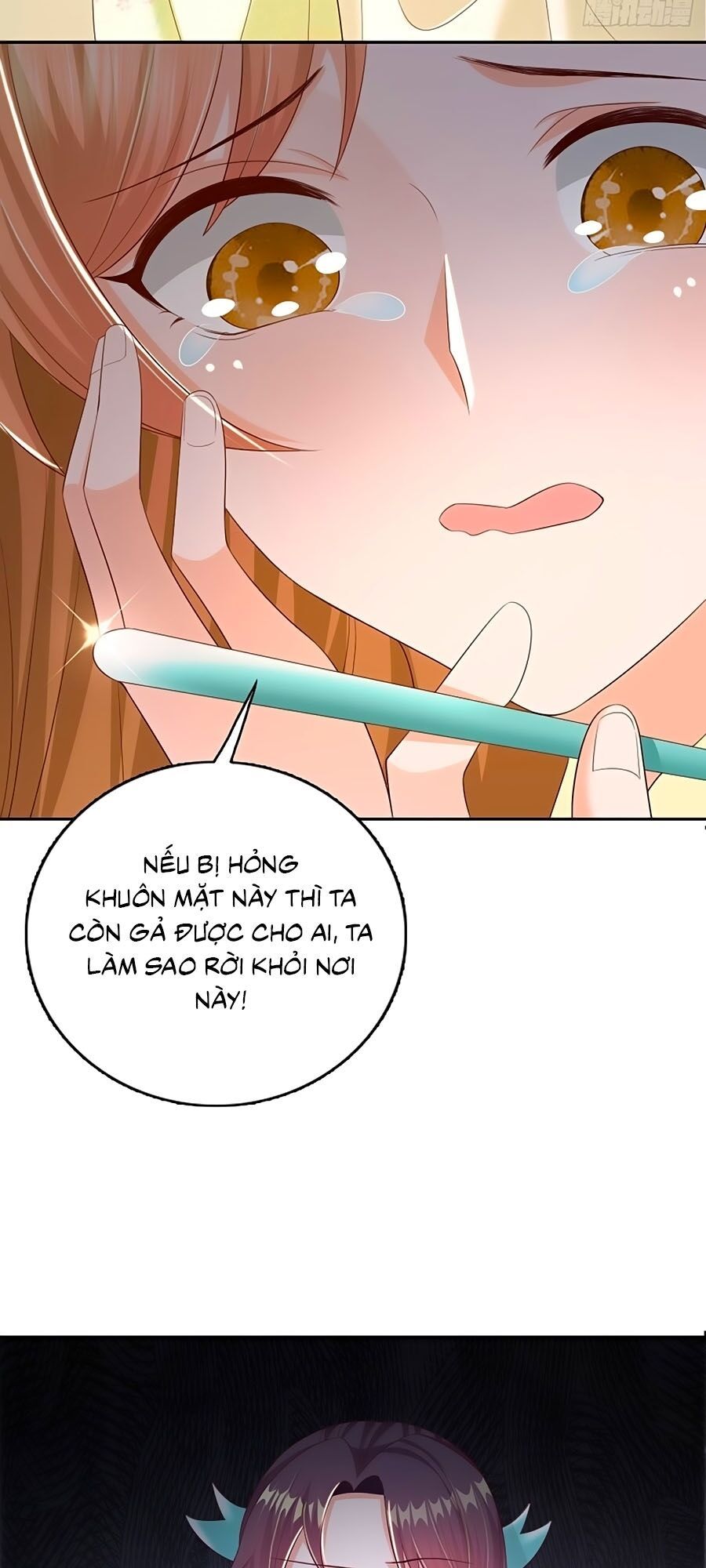 đọc truyện Phượng Ngự Tà Vương Chương 49 ảnh 28 tại Thiên Thai Truyện