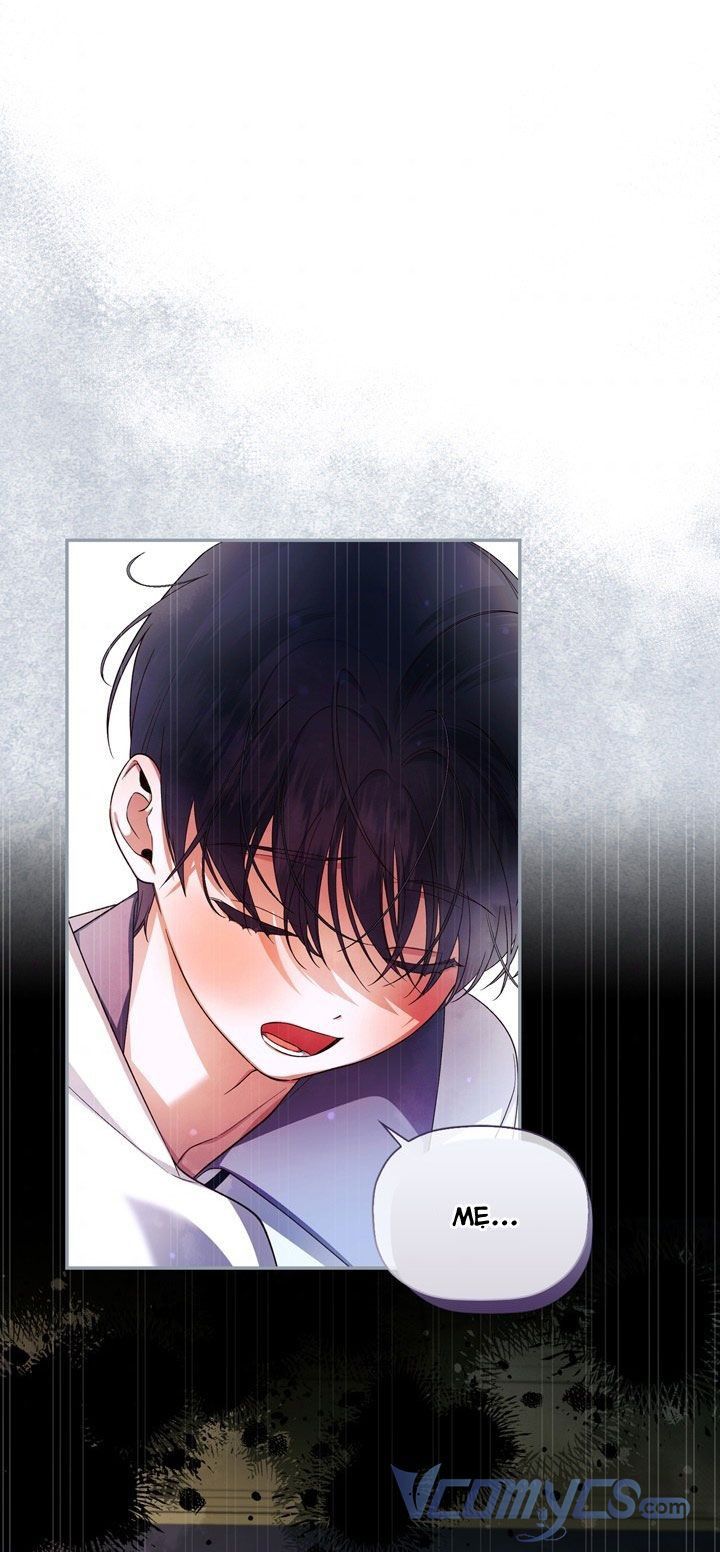 đọc truyện Phương Pháp Che Giấu Đứa Con Của Hoàng Đế Chương 33.5 ảnh 26 tại Thiên Thai Truyện