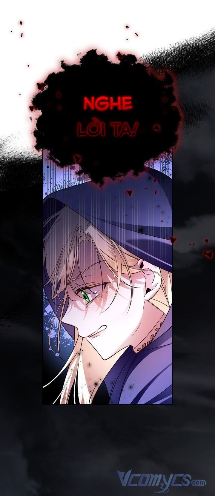 đọc truyện Phương Pháp Che Giấu Đứa Con Của Hoàng Đế Chương 38.5 ảnh 27 tại Thiên Thai Truyện