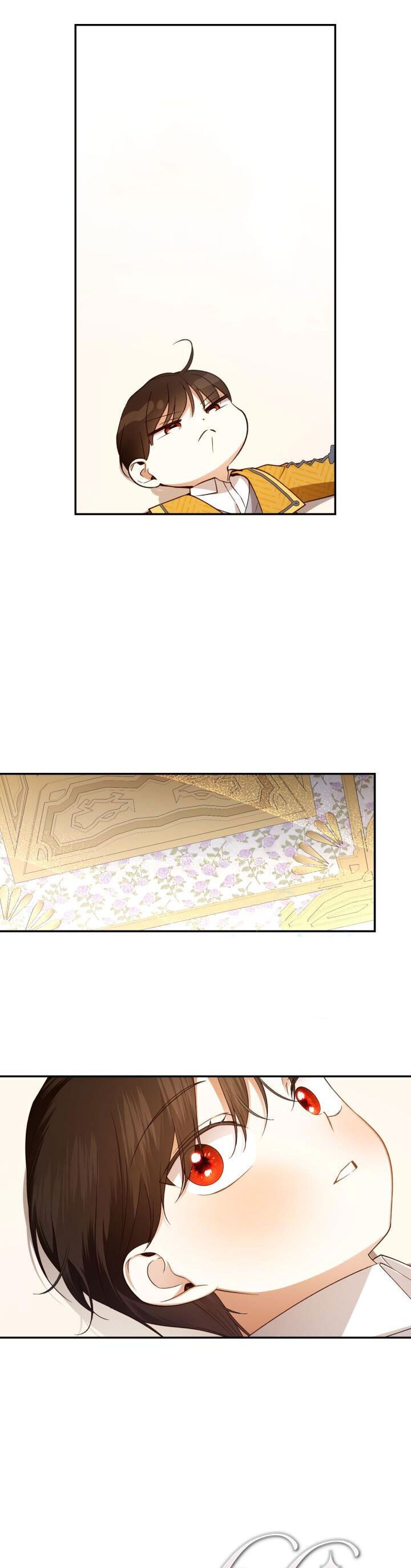 đọc truyện Phương Pháp Che Giấu Đứa Con Của Hoàng Đế Chương 74 ảnh 32 tại Thiên Thai Truyện