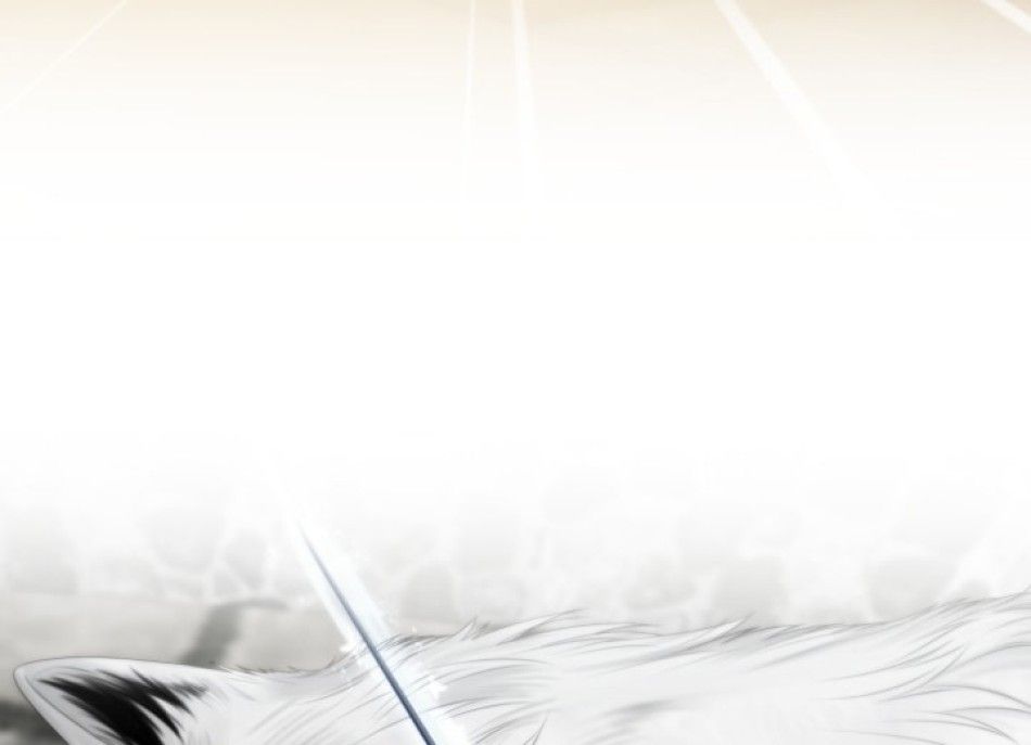 Phương Pháp Thuần Hóa Chó Sói Chương 2 page 98 - Giả Dược