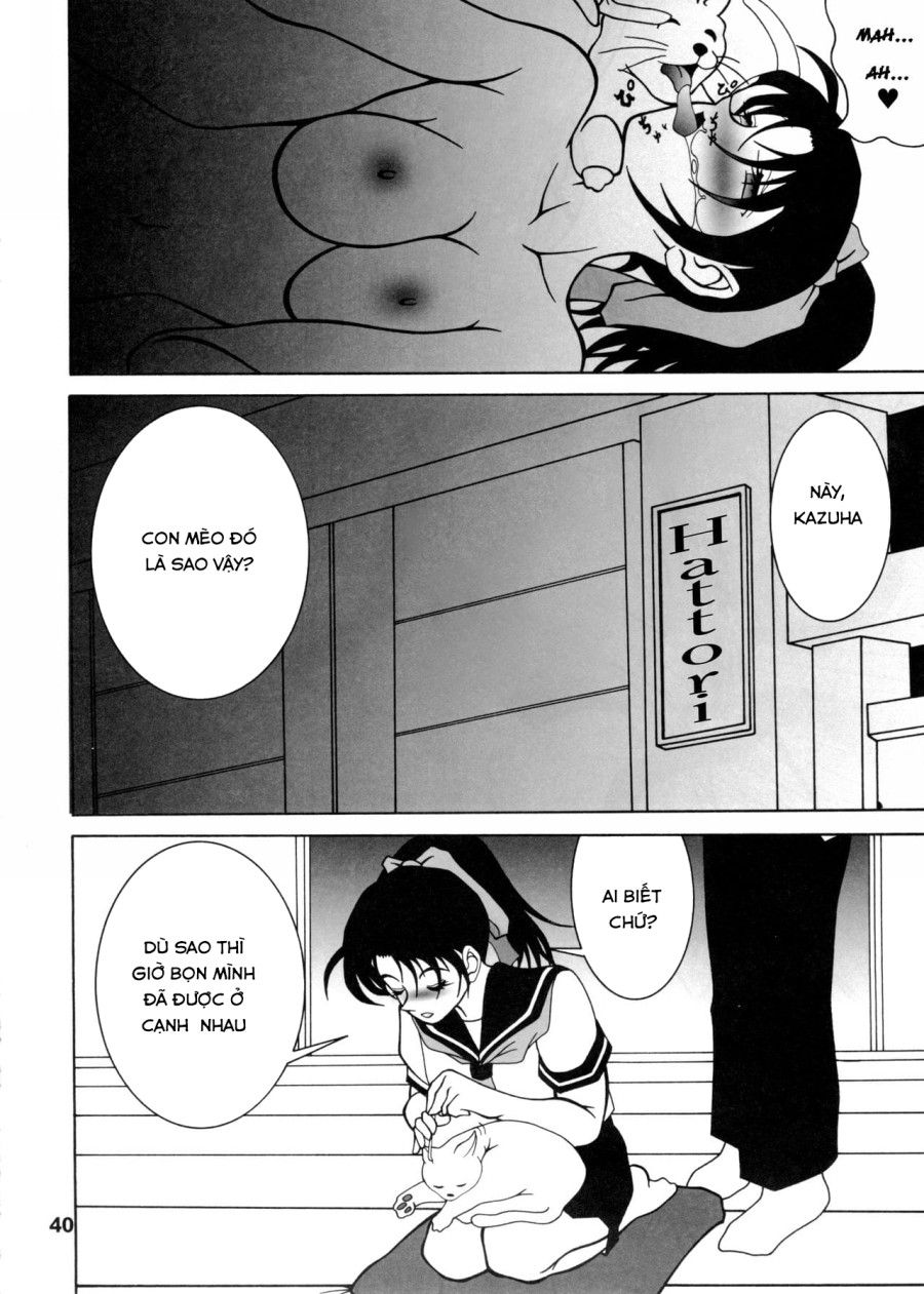 Potemayo Vol. 5 (thám Tử Conan) Chương 2 page 12 - Giả Dược