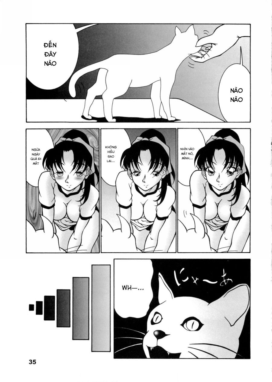 Potemayo Vol. 5 (thám Tử Conan) Chương 2 page 7 - Giả Dược