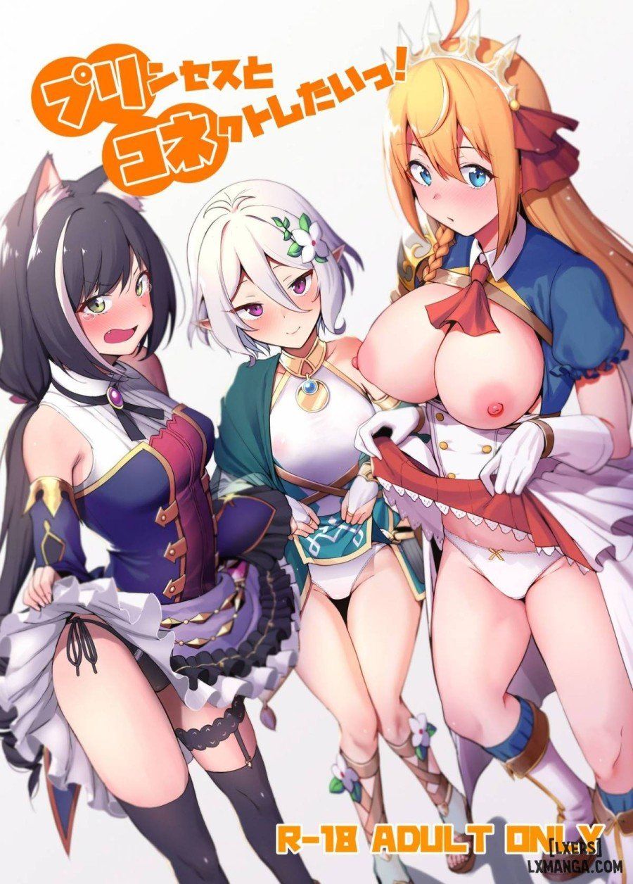 đọc truyện Princess To Connect Shitai! Oneshot ảnh 1 tại Giả Dược