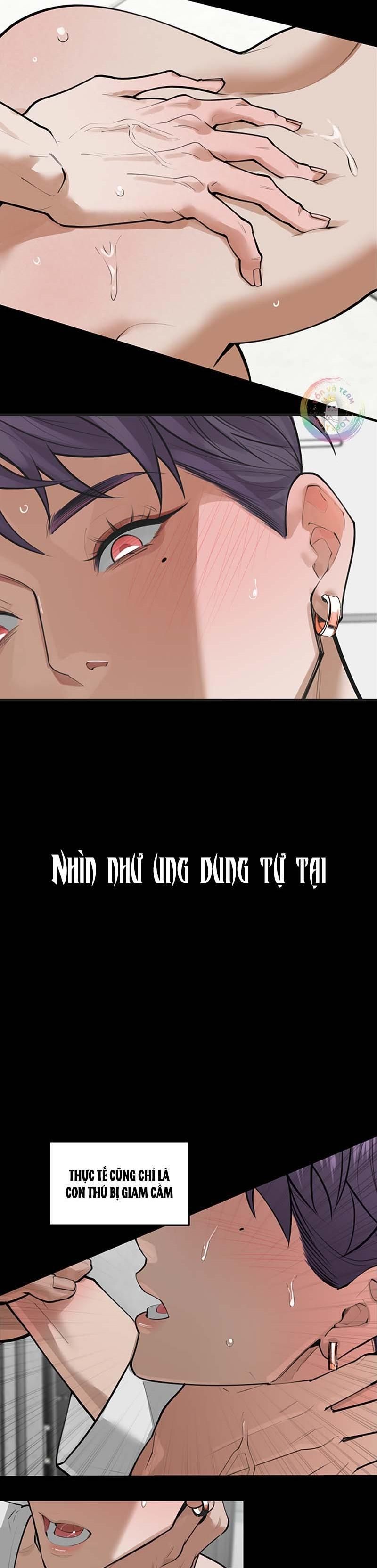 đọc truyện Pry (trộm Nhìn) Chương 0 ảnh 6 tại Thiên Thai Truyện