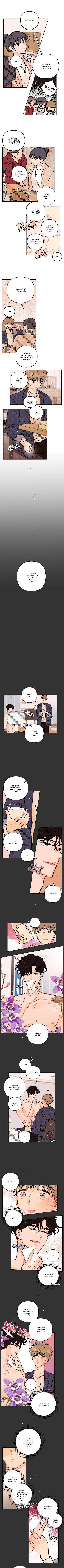 đọc truyện Punk Dunk Funk Chương 33 ảnh 4 tại Thiên Thai Truyện