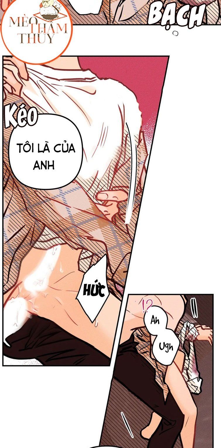 đọc truyện Punk Dunk Funk Chương 40 ảnh 9 tại Thiên Thai Truyện