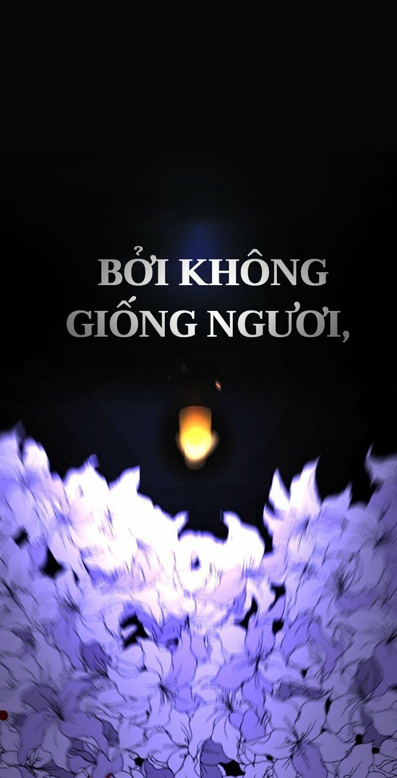 đọc truyện Purple Hyacinth Chương 0 ảnh 6 tại Thiên Thai Truyện