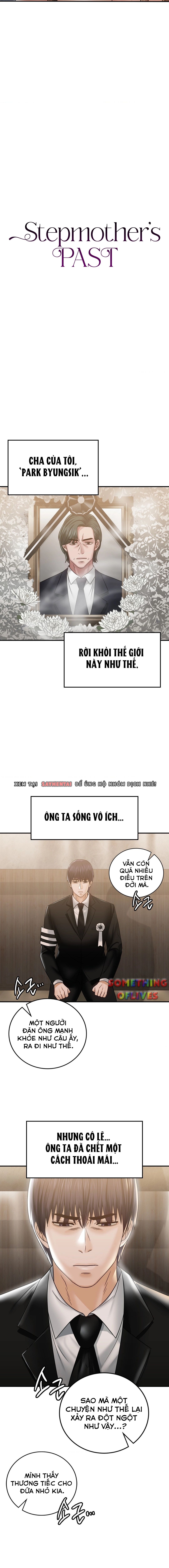 đọc truyện Quá Khứ Của Mẹ Kế Chương 3 ảnh 2 tại Giả Dược