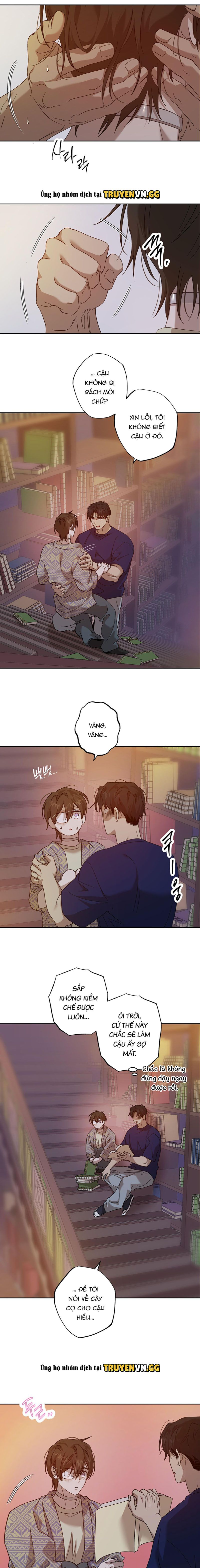 đọc truyện Quái Vật Ngủ Trong Rừng Chương 12 ảnh 14 tại Thiên Thai Truyện