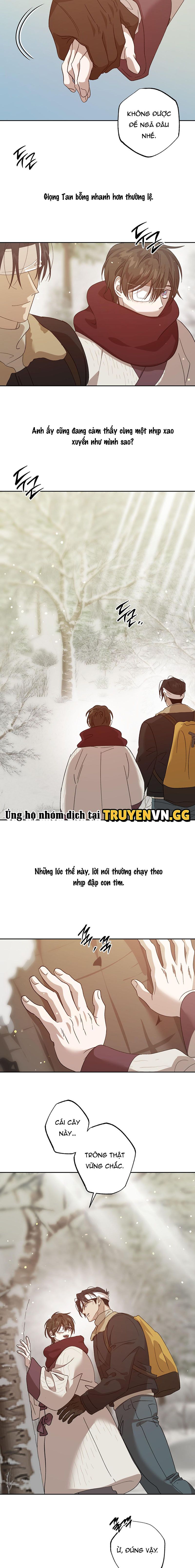 đọc truyện Quái Vật Ngủ Trong Rừng Chương 19 ảnh 15 tại Thiên Thai Truyện