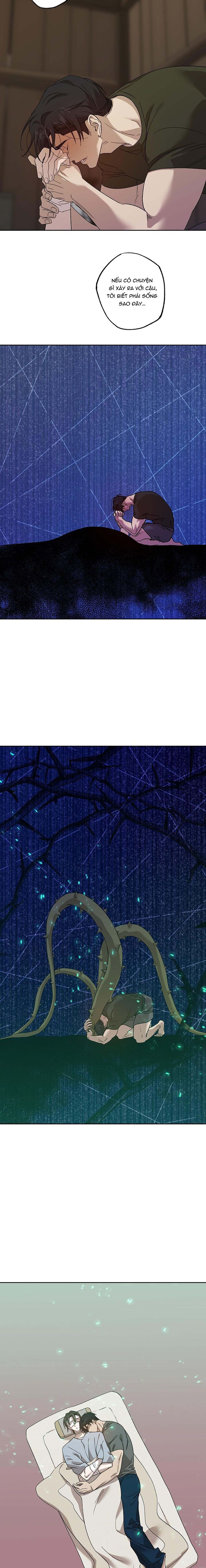 đọc truyện Quái Vật Ngủ Trong Rừng Chương 34 ảnh 13 tại Thiên Thai Truyện