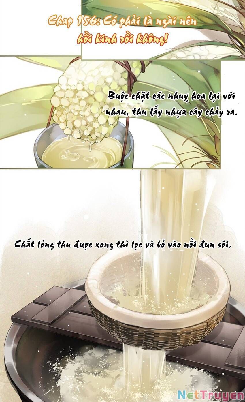 đọc truyện Quận Chúa Bất Tư Gia Chương 156 ảnh 1 tại Giả Dược