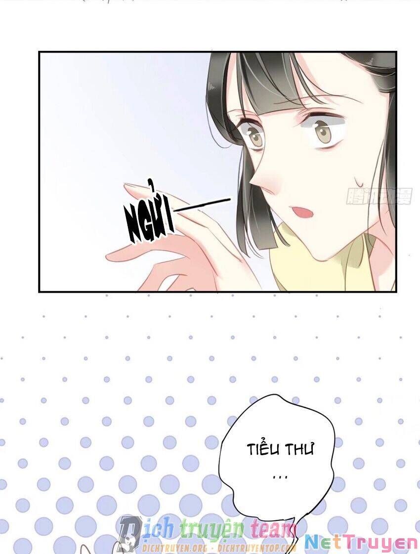 đọc truyện Quận Chúa Bất Tư Gia Chương 91 ảnh 4 tại Giả Dược