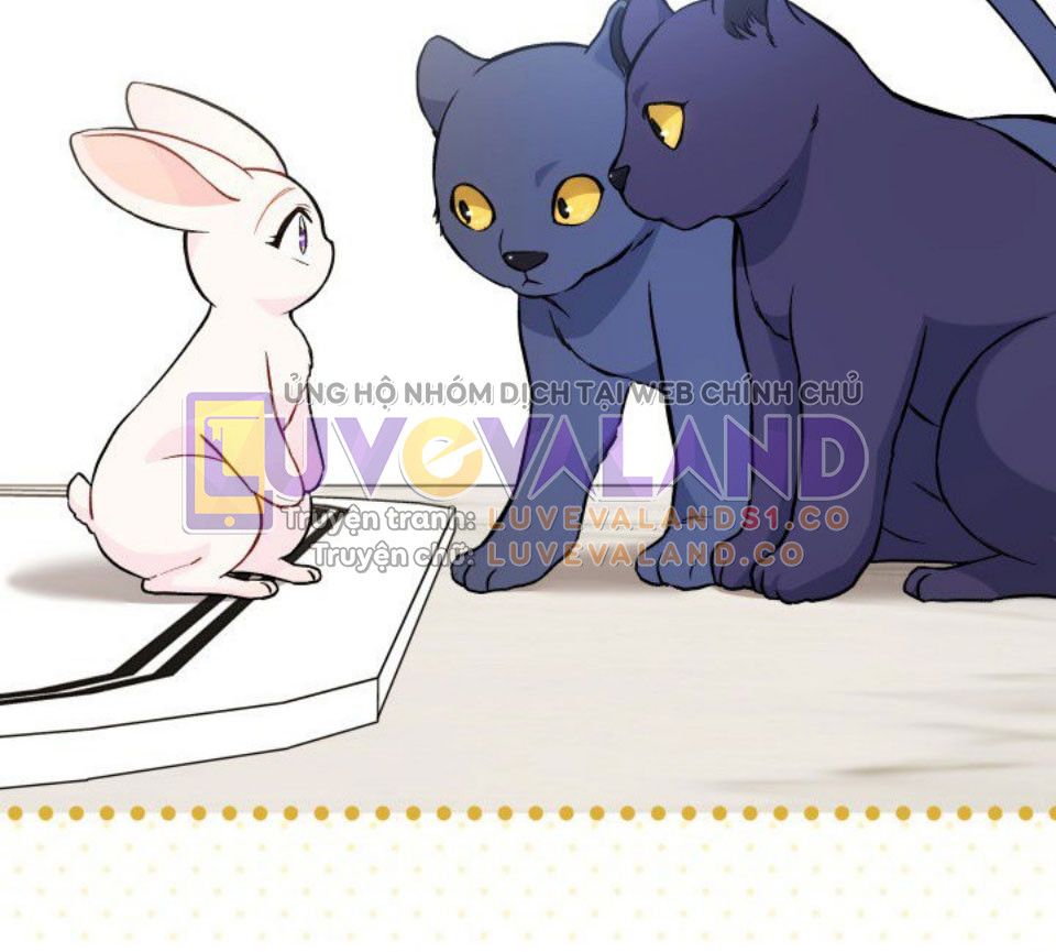 đọc truyện  Quan Hệ Công Sinh Giữa Hắc Báo Và Bạch Thỏ Chương 134 ảnh 8 tại Thiên Thai Truyện