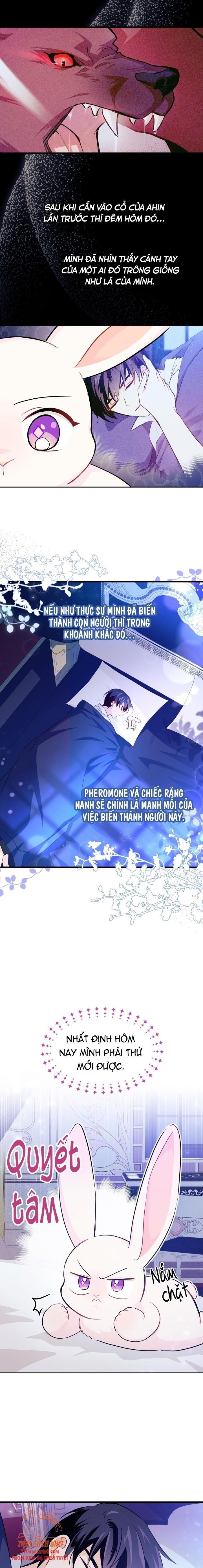 đọc truyện  Quan Hệ Công Sinh Giữa Hắc Báo Và Bạch Thỏ Chương 16 ảnh 12 tại Thiên Thai Truyện