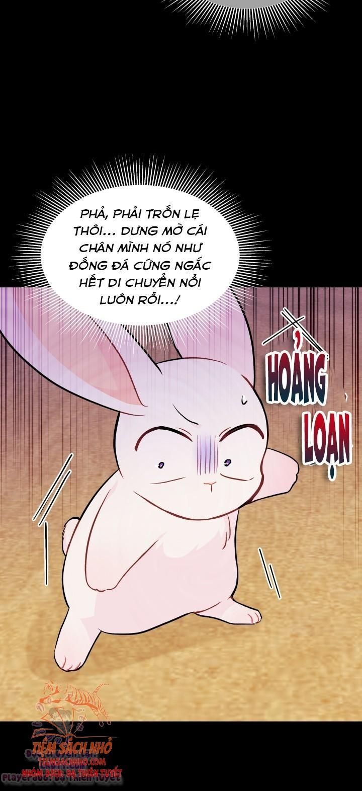 đọc truyện  Quan Hệ Công Sinh Giữa Hắc Báo Và Bạch Thỏ Chương 23 ảnh 15 tại Thiên Thai Truyện