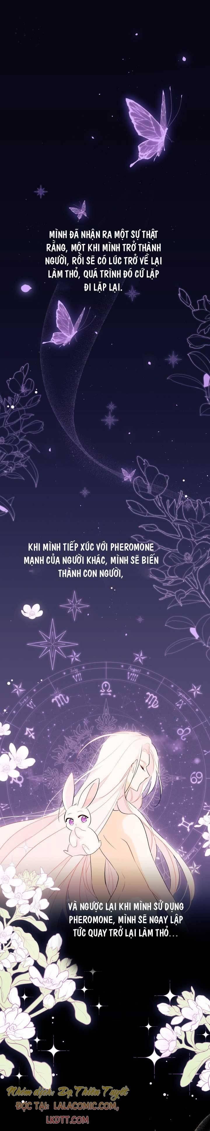 đọc truyện  Quan Hệ Công Sinh Giữa Hắc Báo Và Bạch Thỏ Chương 44 ảnh 1 tại Thiên Thai Truyện