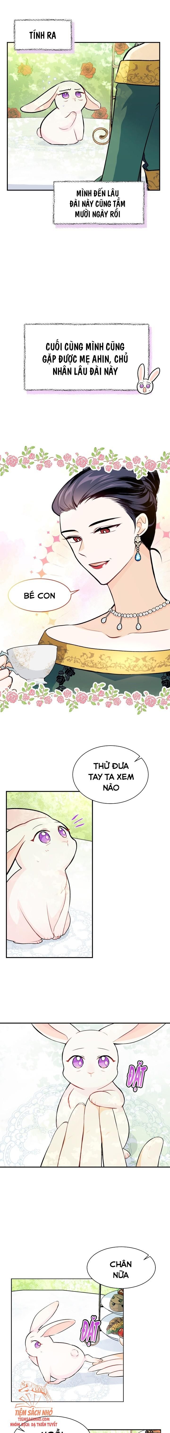 đọc truyện  Quan Hệ Công Sinh Giữa Hắc Báo Và Bạch Thỏ Chương 5 ảnh 8 tại Thiên Thai Truyện