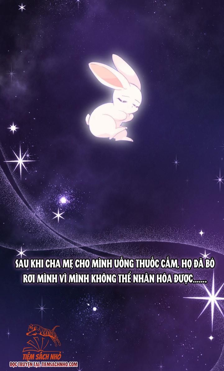 đọc truyện  Quan Hệ Công Sinh Giữa Hắc Báo Và Bạch Thỏ Chương 59 ảnh 3 tại Thiên Thai Truyện