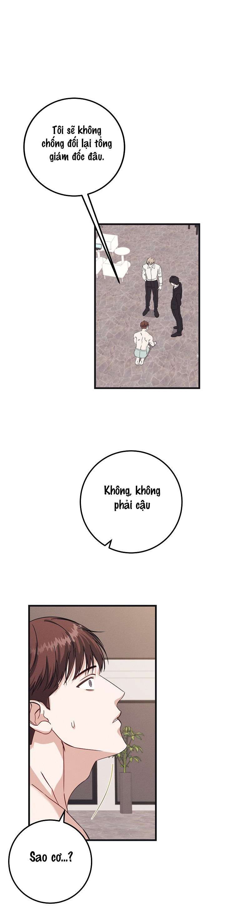 Quan Hệ Đối Tác Rắc Rối Chương 2 page 25 - Giả Dược