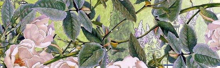 đọc truyện  Quãng Đời Còn Lại Của Nữ Phụ Yểu Mệnh Chương 38.5 ảnh 162 tại Thiên Thai Truyện