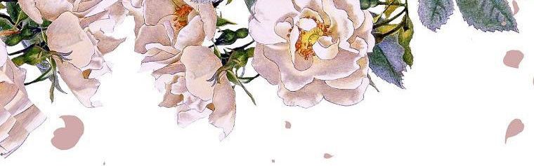 đọc truyện  Quãng Đời Còn Lại Của Nữ Phụ Yểu Mệnh Chương 38.5 ảnh 163 tại Thiên Thai Truyện